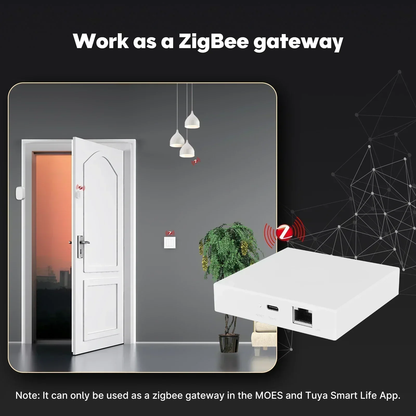 MOES Tuya Zigbee Matter 스레드 게이 - Smart Home Hub Matter 리뷰 및 가격